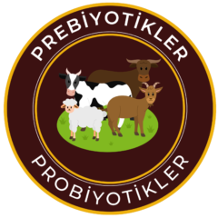 Prebiyotik ve Probiyotikler