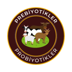 Prebiyotik ve Probiyotikler